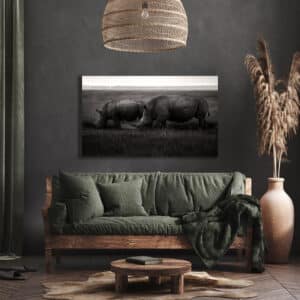 Wildlife photography