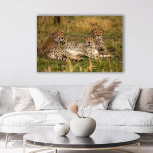 Archival canvas prints