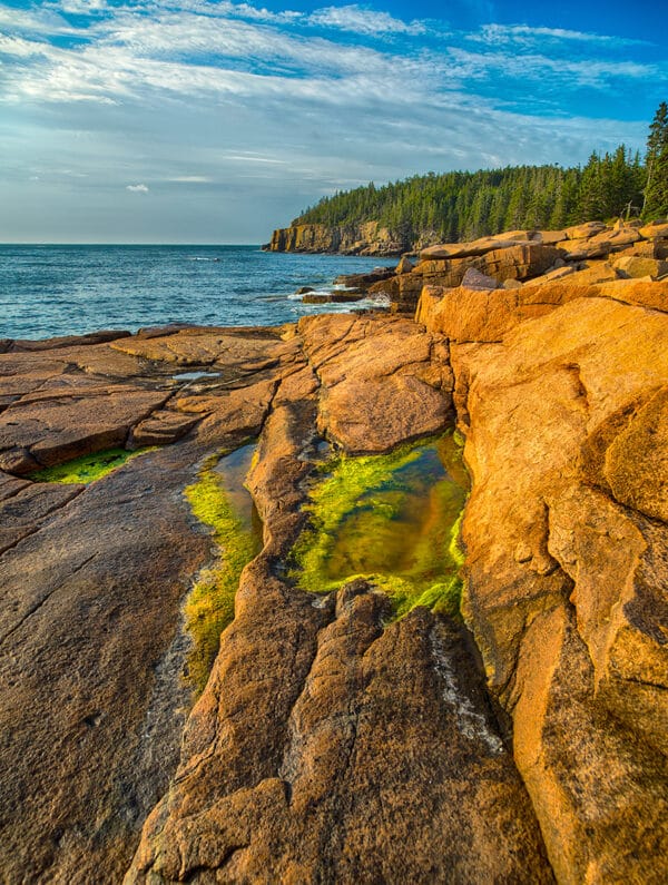 Nature photography