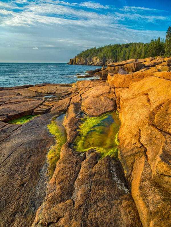 Acadia Coastline Acadia AcadiaCoastline GD Whalen Photography