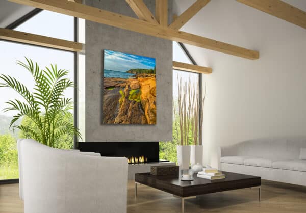 Archival canvas prints