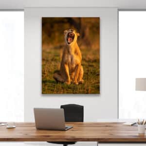 GD Whalen Photography Museum Grade Crystal Archival Prints Landscape photography wildlife photography nature photography