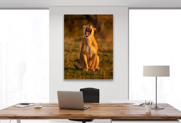 GD Whalen Photography Museum Grade Crystal Archival Prints Landscape photography wildlife photography nature photography