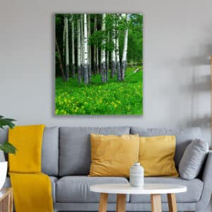Archival canvas prints