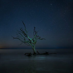 Midnight Tree Jekyll Island driftwood stars starlight ocean beach water tide landscape photography