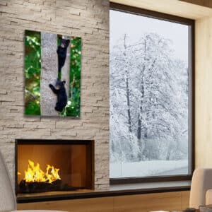 GD Whalen Photography Museum Grade Crystal Archival Prints Landscape photography wildlife photography nature photography
