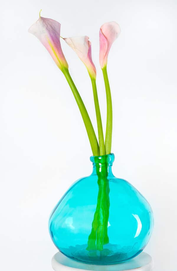 Blue Vase with Pink Flowers BlueVasePinkFlower GD Whalen Photography