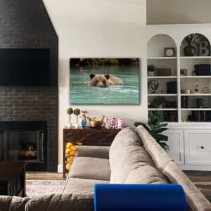 Wildlife photography
