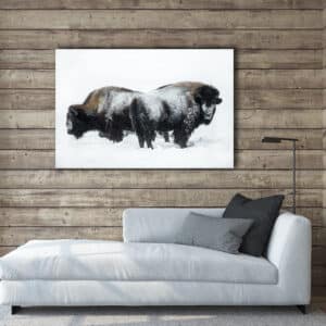 GD Whalen Photography Museum Grade Crystal Archival Prints Landscape photography wildlife photography nature photography