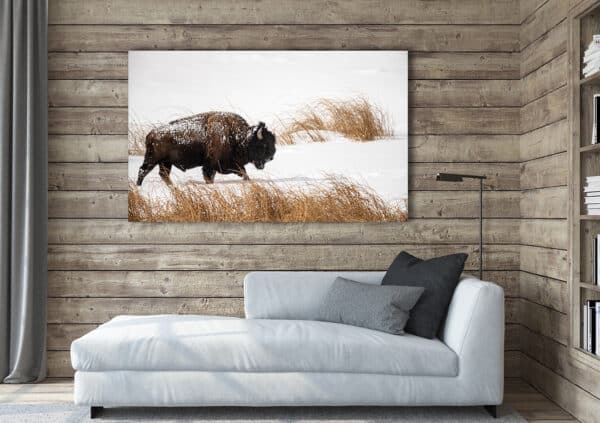 Archival canvas prints