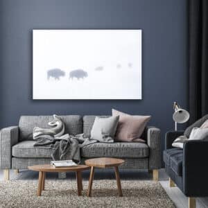 GD Whalen Photography Museum Grade Crystal Archival Prints Landscape photography wildlife photography nature photography