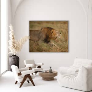 GD Whalen Photography Museum Grade Crystal Archival Prints Landscape photography wildlife photography nature photography