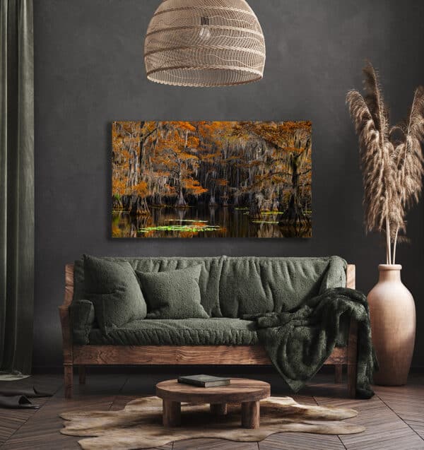 Museum Grade Crystal Archival Prints wall art fine art GD Whalen Photography trees swamp Caddo Lake