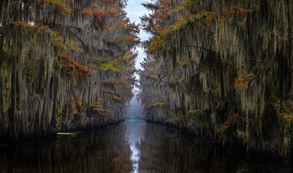 Old Man River river GD Whalen Photography