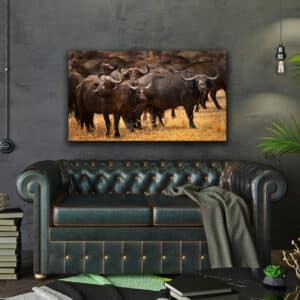 Masai Mara Buffalo Print