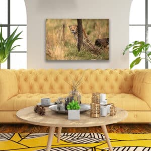 Mara Cheetah Print