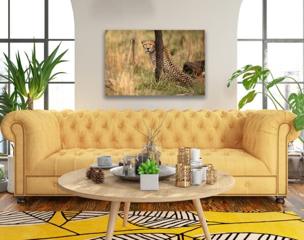 Mara Cheetah Print