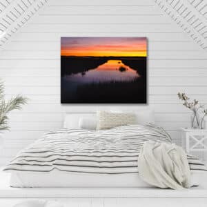 Nature photography