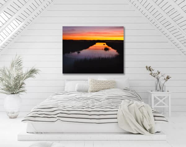 Nature photography