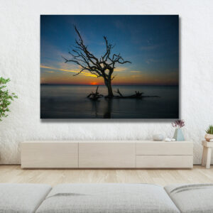 Jekyll Island Daybreak Tree
