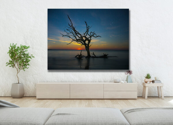 Jekyll Island Daybreak Tree