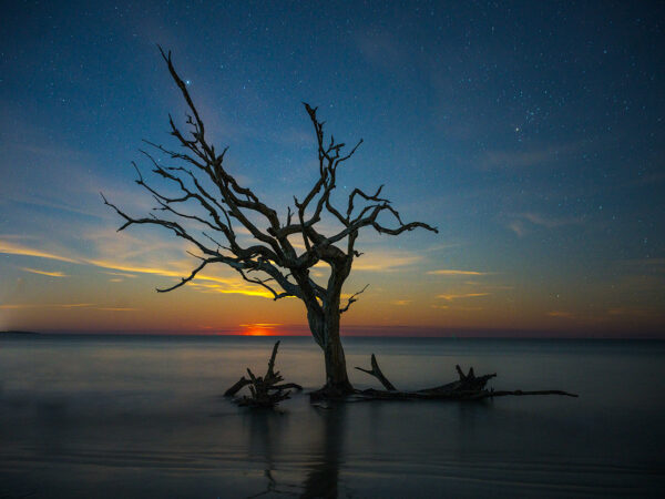 Jekyll Island Daybreak Tree water beach tree sunrise waves ocean landscape photography Hasselblad x2d
