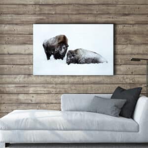 Archival canvas prints