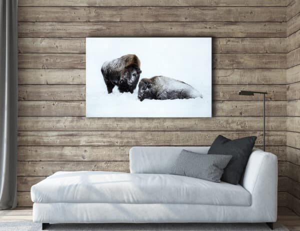 Archival canvas prints