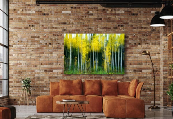 Museum Grade Crystal Archival Print Alaska Aspen tree wall art fine art