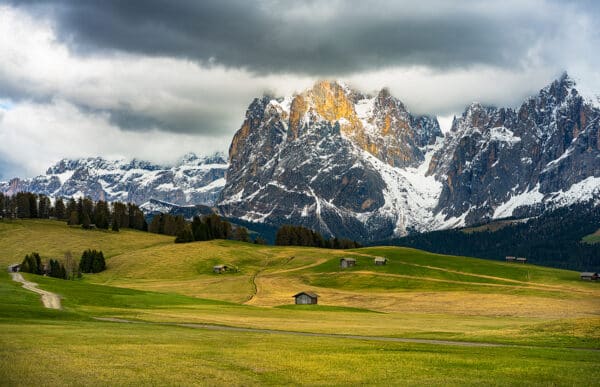 Alpe di Siusi Alpe di Siusi Dolomite10Cabins GD Whalen Photography