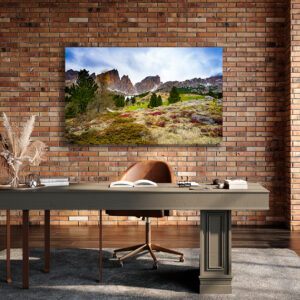 Home oversized acrylic office wall art DolomiteFlowerHouse GD Whalen Photography