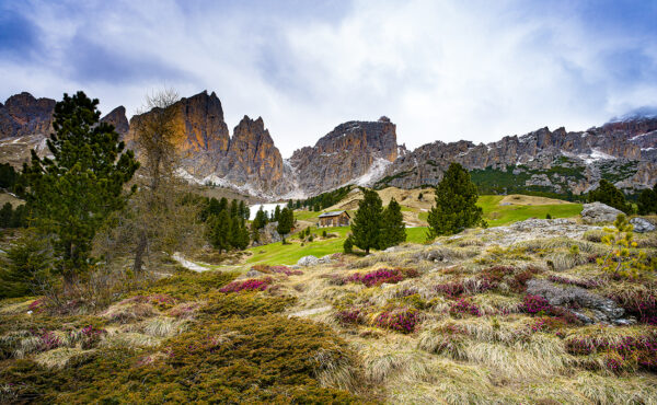 Dolomites Cabin with Flowers Italy mountains cabin landscape photography travel photography purple snow