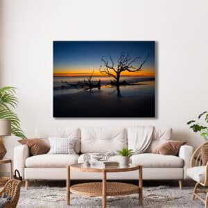 GD Whalen Photography Museum Grade Crystal Archival Prints Landscape photography wildlife photography nature photography