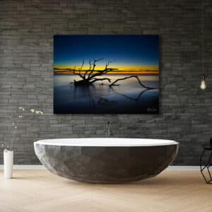 GD Whalen Photography Museum Grade Crystal Archival Prints Landscape photography wildlife photography nature photography