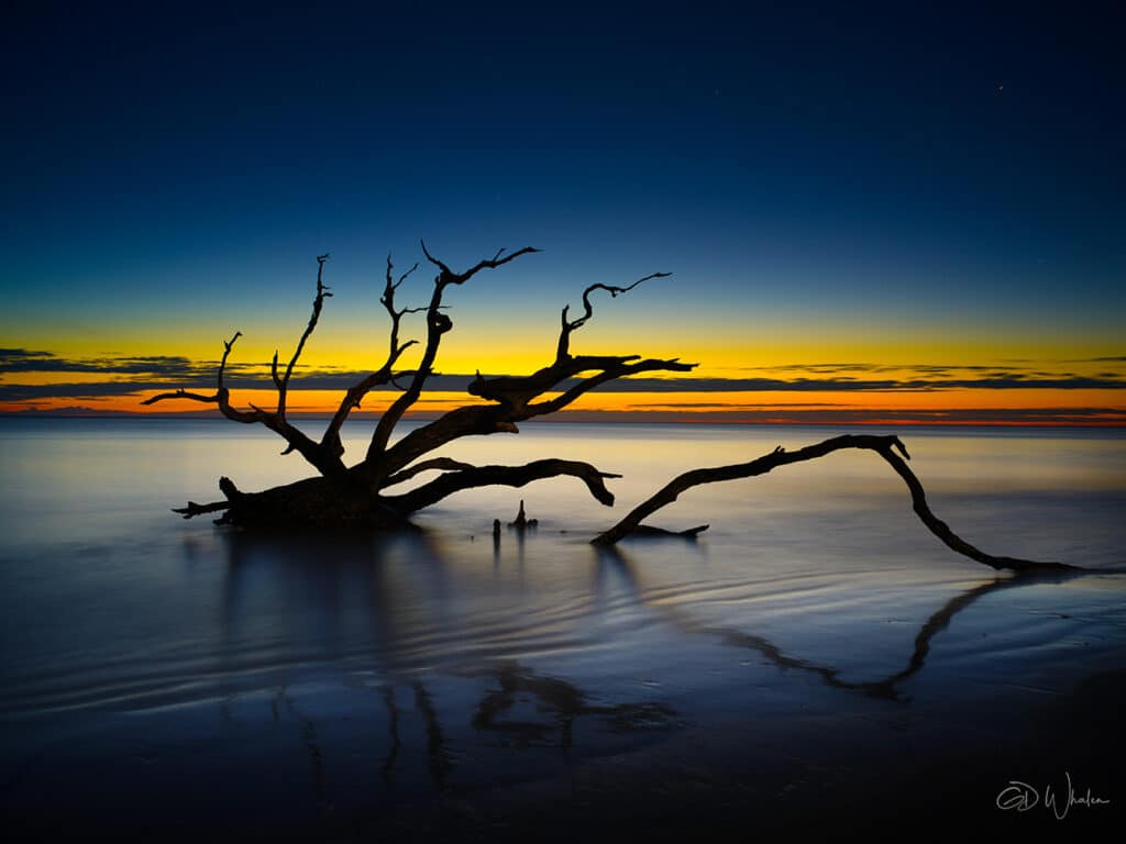 Water - streams, lakes and ocean DriftwoodBeach2023a GD Whalen Photography