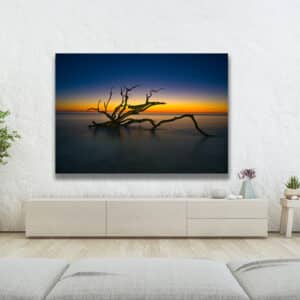 Nature photography