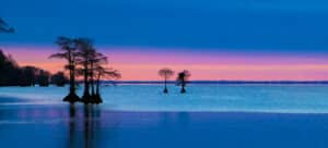 GD Whalen Photography Museum Grade Crystal Archival Prints Landscape photography wildlife photography nature photography Edenton North Carolina water bay trees sunset