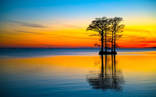 Sunset in Edenton Denton EdentonSunsetTree12.5x20 e1647544635823 GD Whalen Photography