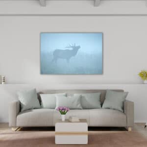 Archival canvas prints