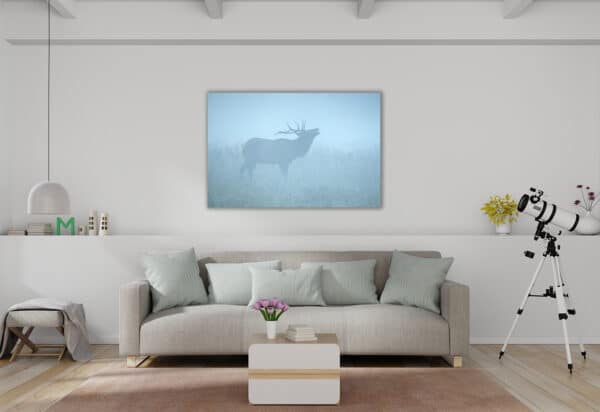 Archival canvas prints