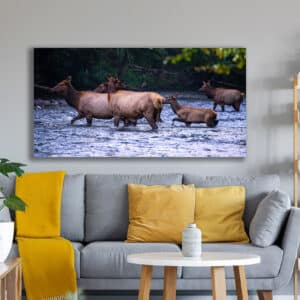 GD Whalen Photography Museum Grade Crystal Archival Prints Landscape photography wildlife photography nature photography