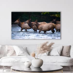Archival canvas prints