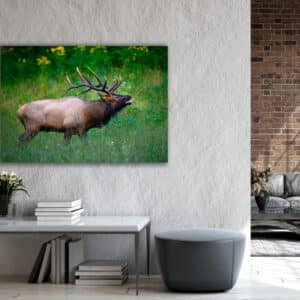 Archival canvas prints
