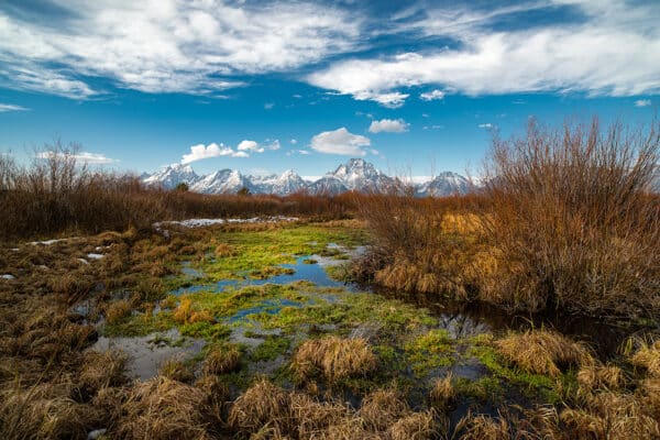 Emerald Pond & Tetons teton EmeraldPondTetons GD Whalen Photography