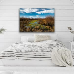 Archival canvas prints