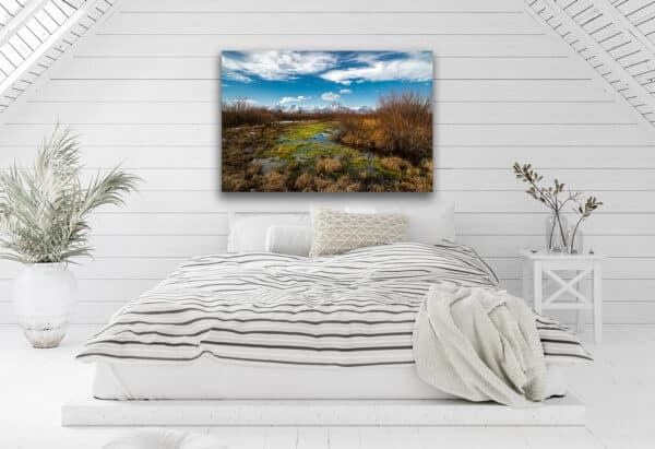 Archival canvas prints
