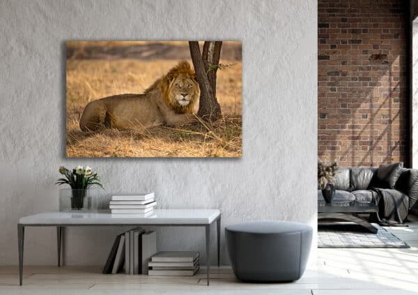 GD Whalen Photography Museum Grade Crystal Archival Prints Landscape photography wildlife photography nature photography