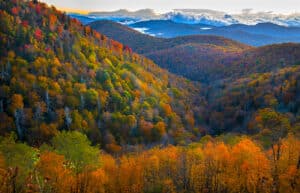 forest trees fall leaves color Blue Ridge ParkwayGD Whalen Photography Museum Grade Crystal Archival Prints Landscape photography wildlife photography nature photography