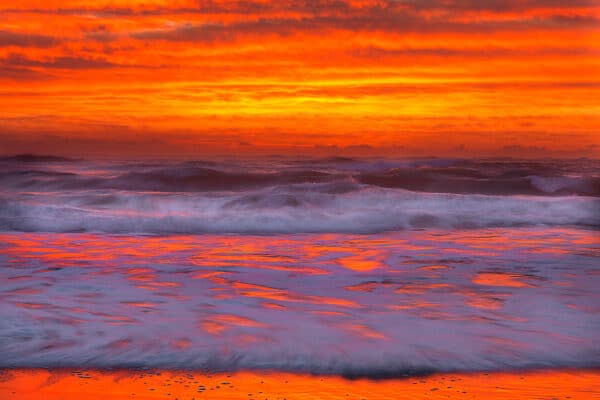 Nature photography