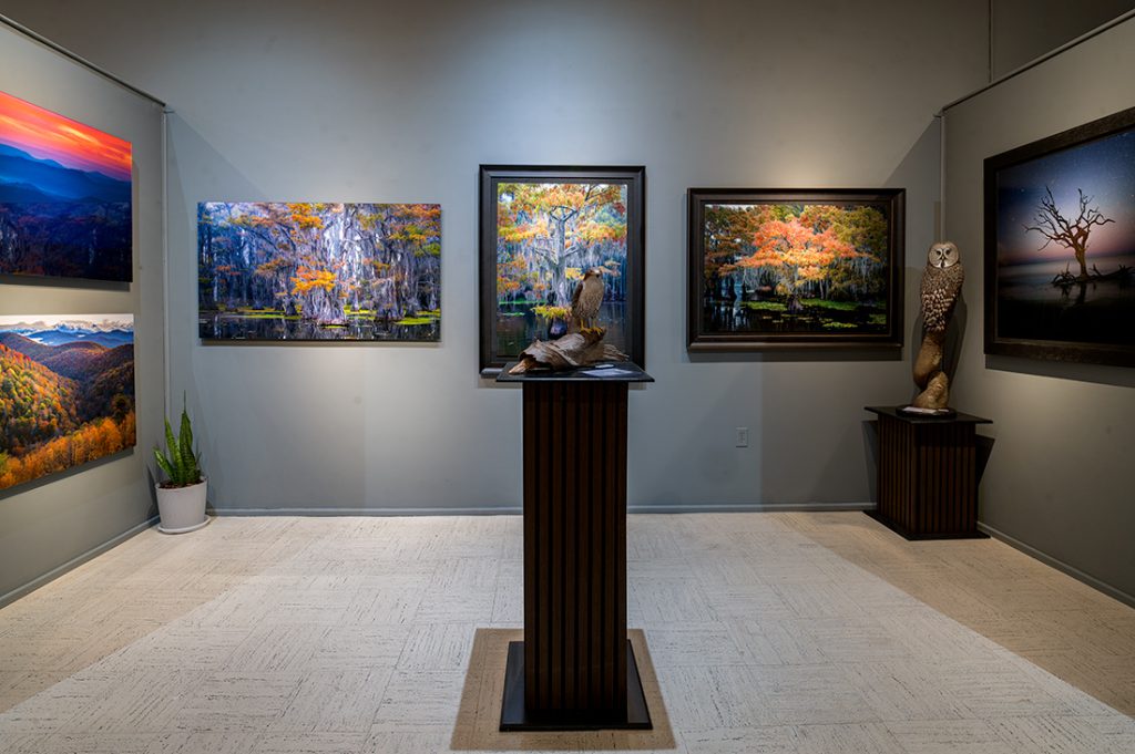 The Lucas Gallery Gallery4 GD Whalen Photography